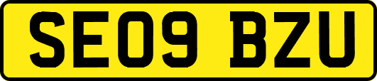 SE09BZU