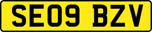 SE09BZV