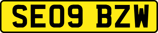 SE09BZW