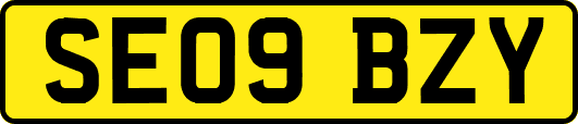 SE09BZY