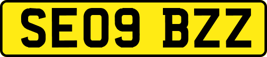 SE09BZZ