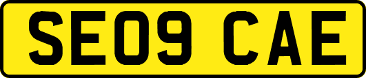 SE09CAE