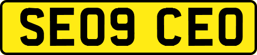 SE09CEO