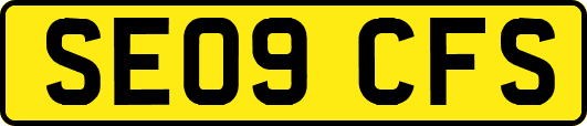 SE09CFS