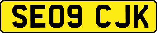SE09CJK