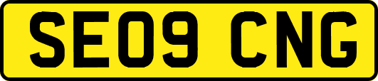 SE09CNG
