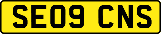 SE09CNS