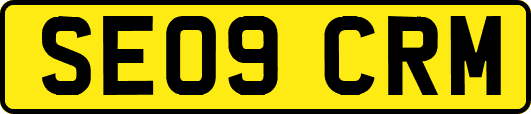 SE09CRM