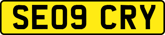 SE09CRY