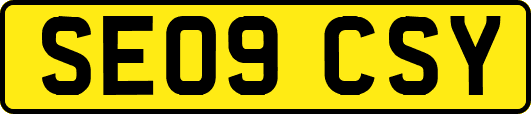 SE09CSY
