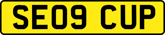SE09CUP