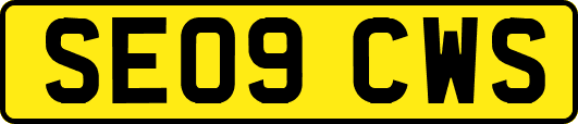 SE09CWS