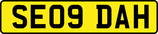SE09DAH
