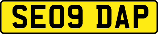 SE09DAP