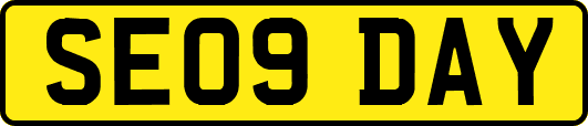 SE09DAY