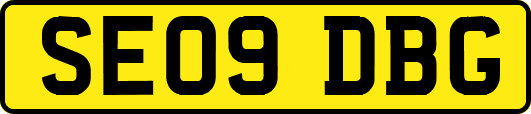 SE09DBG