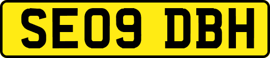 SE09DBH