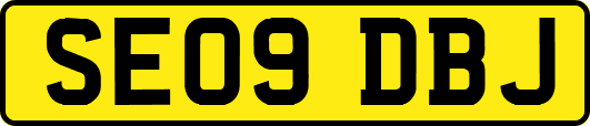 SE09DBJ