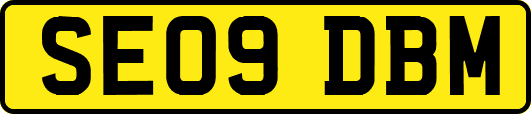 SE09DBM