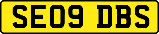 SE09DBS