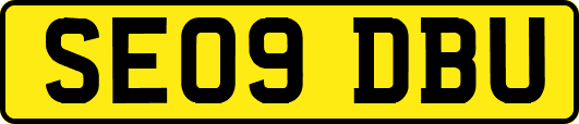 SE09DBU