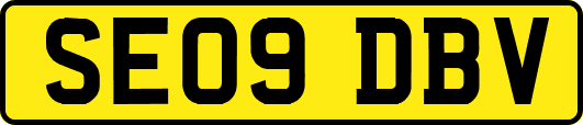 SE09DBV