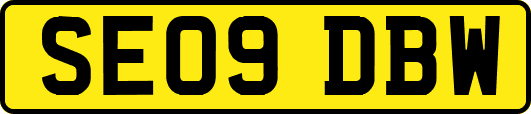 SE09DBW