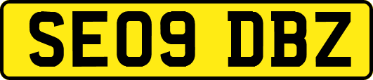 SE09DBZ