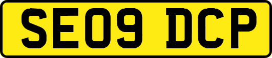 SE09DCP