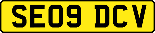 SE09DCV