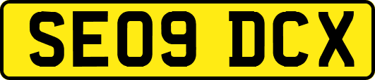 SE09DCX