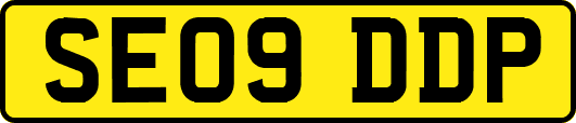 SE09DDP
