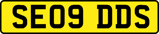 SE09DDS