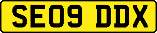 SE09DDX