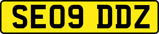 SE09DDZ
