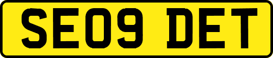 SE09DET