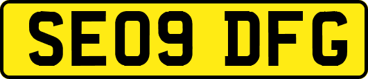 SE09DFG