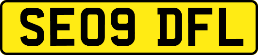 SE09DFL
