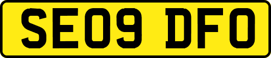 SE09DFO