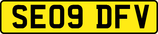 SE09DFV