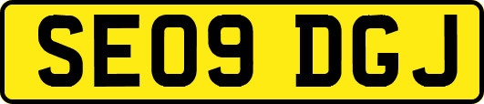 SE09DGJ