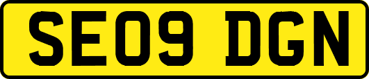 SE09DGN