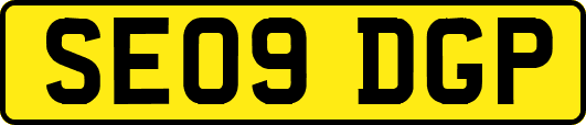 SE09DGP