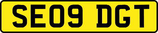 SE09DGT