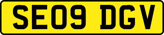 SE09DGV