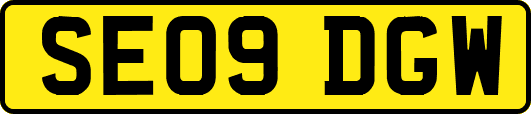 SE09DGW