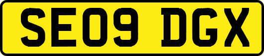 SE09DGX