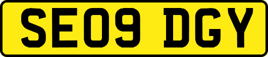 SE09DGY