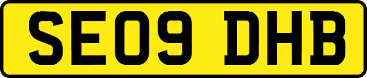 SE09DHB
