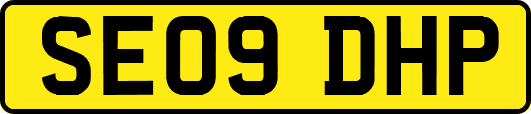 SE09DHP